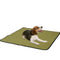 Reusable Non-Slip Pet Absorbent Pad