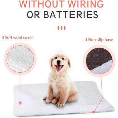 Self-Heating Dog Bed & Pet Cushion